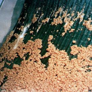 Static Screen for Effluent Treatment and Environmental Compliance in Industrial Discharge